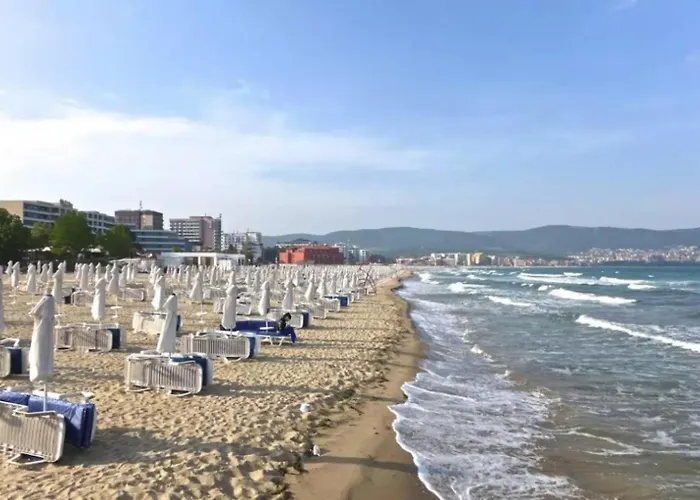 Jadore Dune 10 Sunny Appartement *